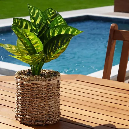 Iroc Private Garden Hébergement de vacances Quinta do Anjo